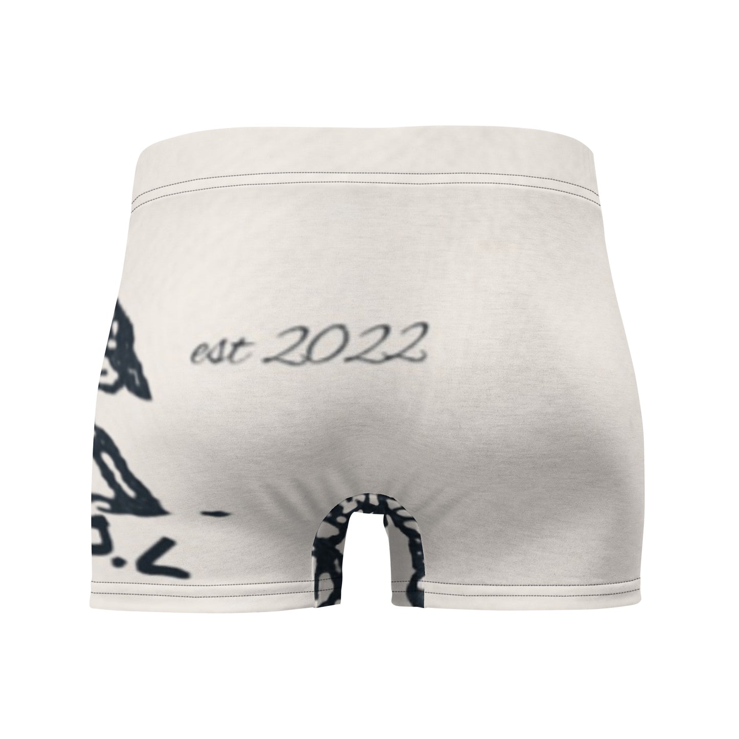 Vitriol Boxer Briefs