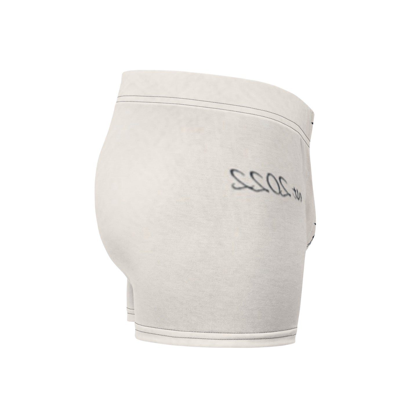 Vitriol Boxer Briefs